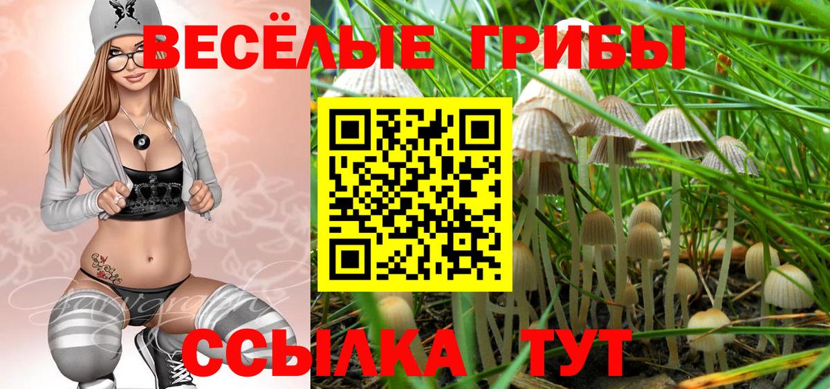 Псилоцибиновые грибы GOLDEN TEACHER Сегежа
